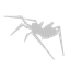 skinweb